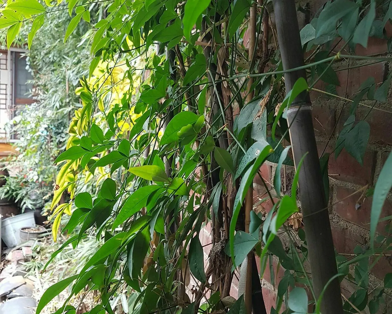 Gongsimga Hanok Guesthouse Seoul 2*,  South Korea